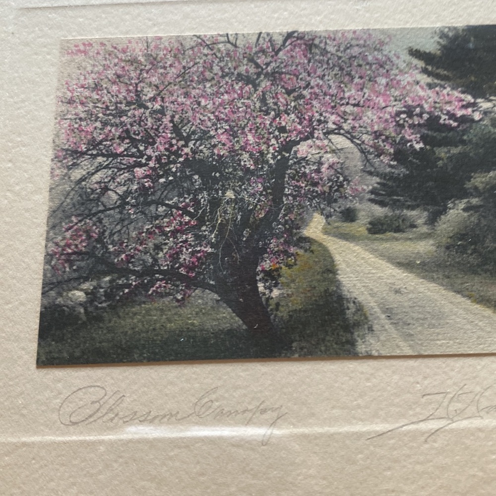 Vintage David Davidson signed “Blossom Canopy”framed & matted hand colored photo - Picture 2 of 8